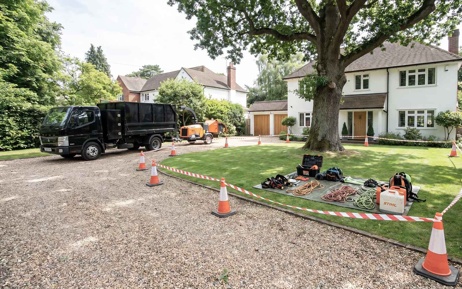 All Cut Tree Surgery Work