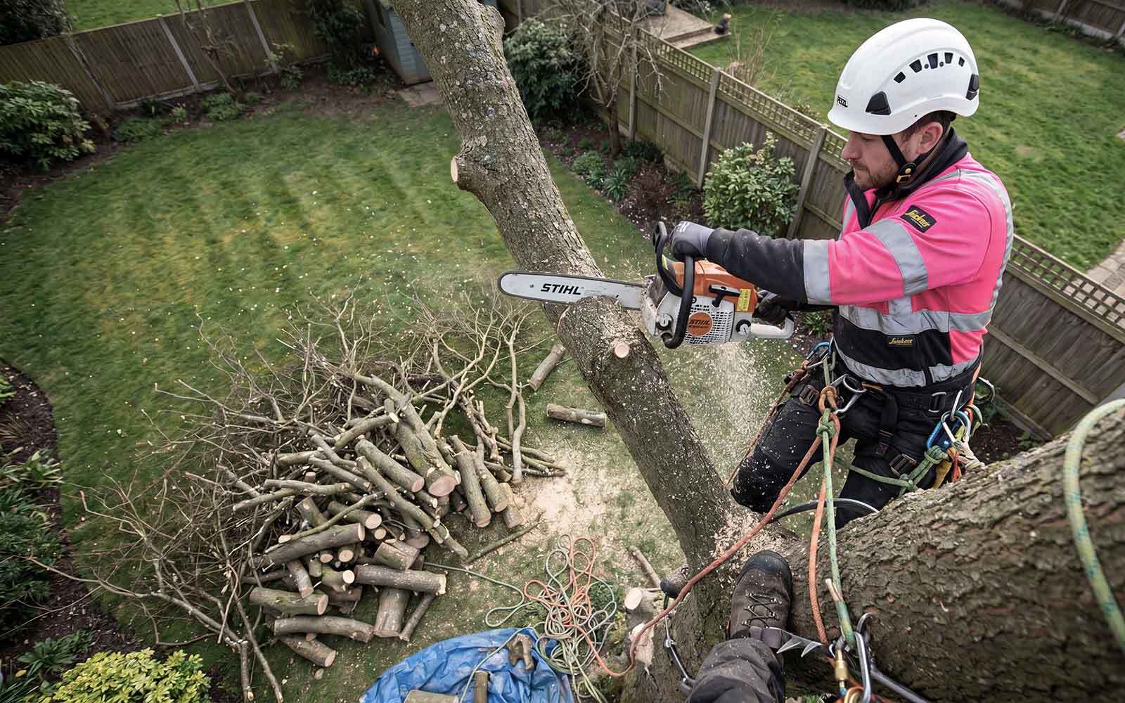 All Cut Tree Surgery Work